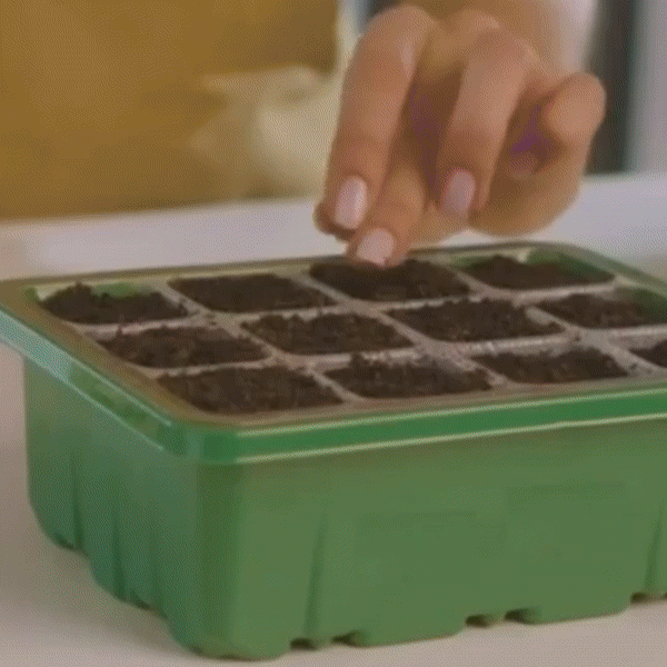 HemGrodd™ Inomhusväxthus med LED och luftcirkulation