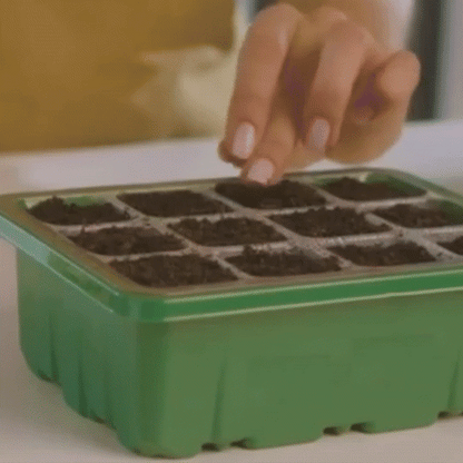 HemGrodd™ Inomhusväxthus med LED och luftcirkulation