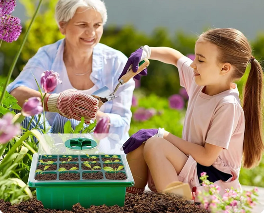 HemGrodd™ Inomhusväxthus med LED och luftcirkulation