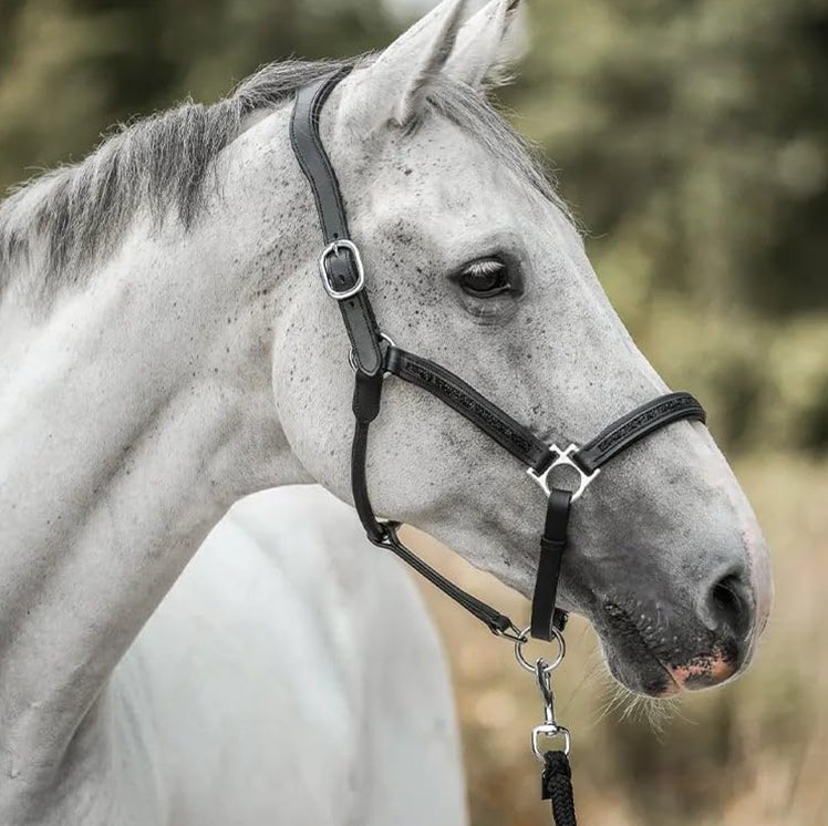 StallMagi™ – Joulukalenteri 12 ylellistä yllätystä hevosten ystäville