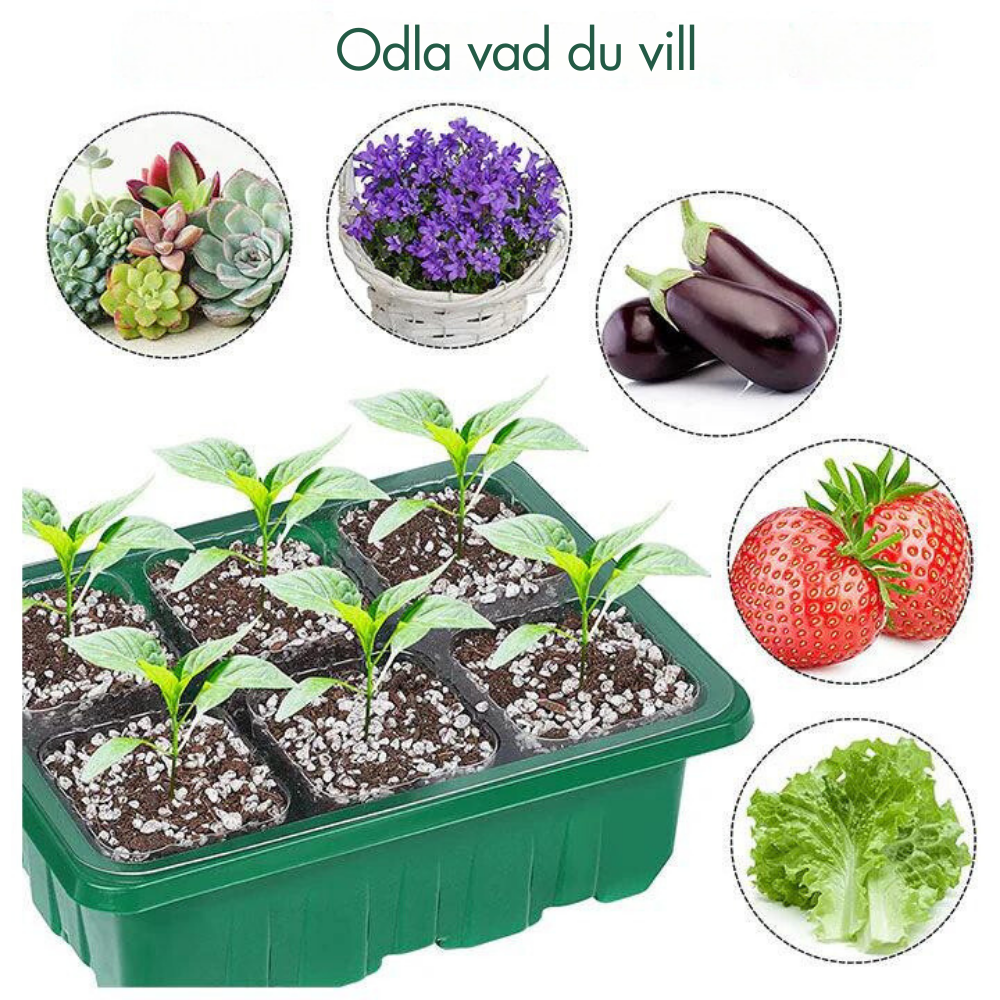 HemGrodd™ Inomhusväxthus med LED och luftcirkulation