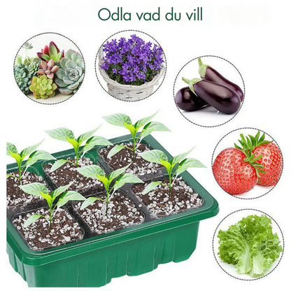 HemGrodd™ Inomhusväxthus med LED och luftcirkulation