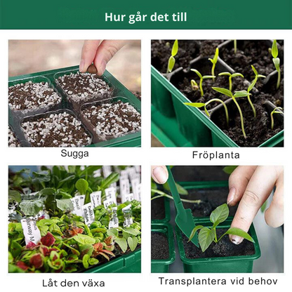 HemGrodd™ Inomhusväxthus med LED och luftcirkulation