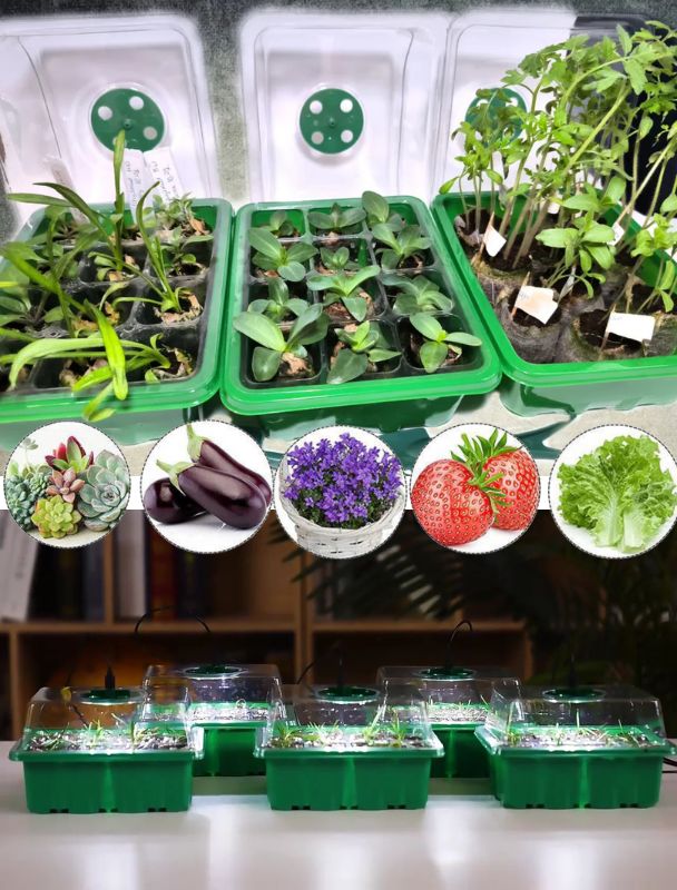 HemGrodd™ Inomhusväxthus med LED och luftcirkulation