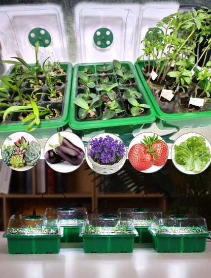 HemGrodd™ Inomhusväxthus med LED och luftcirkulation