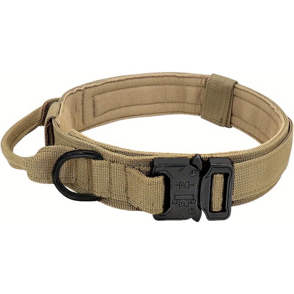 TitanHalsband™ Hållbart Hundhalsband med Spänne – Skapat för Aktiva Hundar