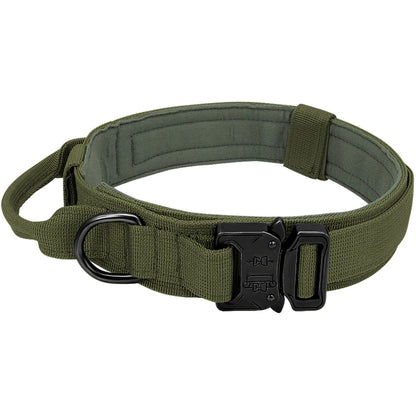 TitanHalsband™ Hållbart Hundhalsband med Spänne – Skapat för Aktiva Hundar