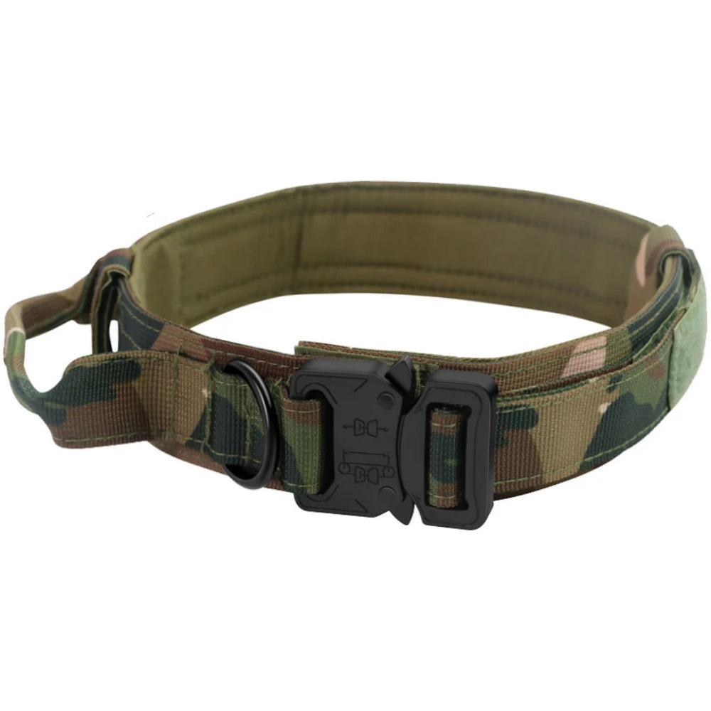 TitanHalsband™ Hållbart Hundhalsband med Spänne – Skapat för Aktiva Hundar