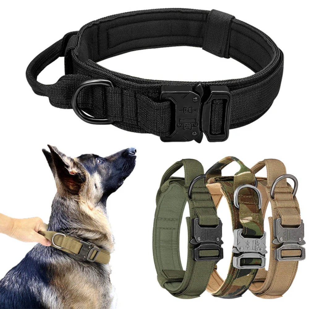 TitanHalsband™ Hållbart Hundhalsband med Spänne – Skapat för Aktiva Hundar