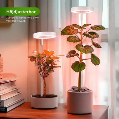 VäxtStråle™ Smart Full Spectrum -kasvivalo – Kasvien pelastaja