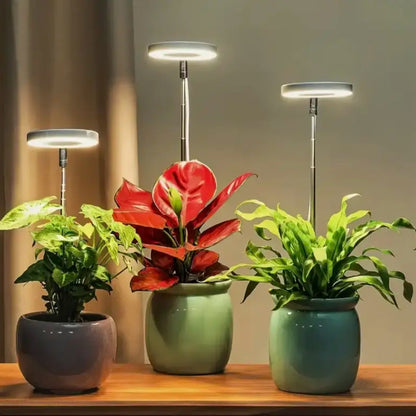 VäxtStråle™ Smart Full Spectrum -kasvivalo – Kasvien pelastaja