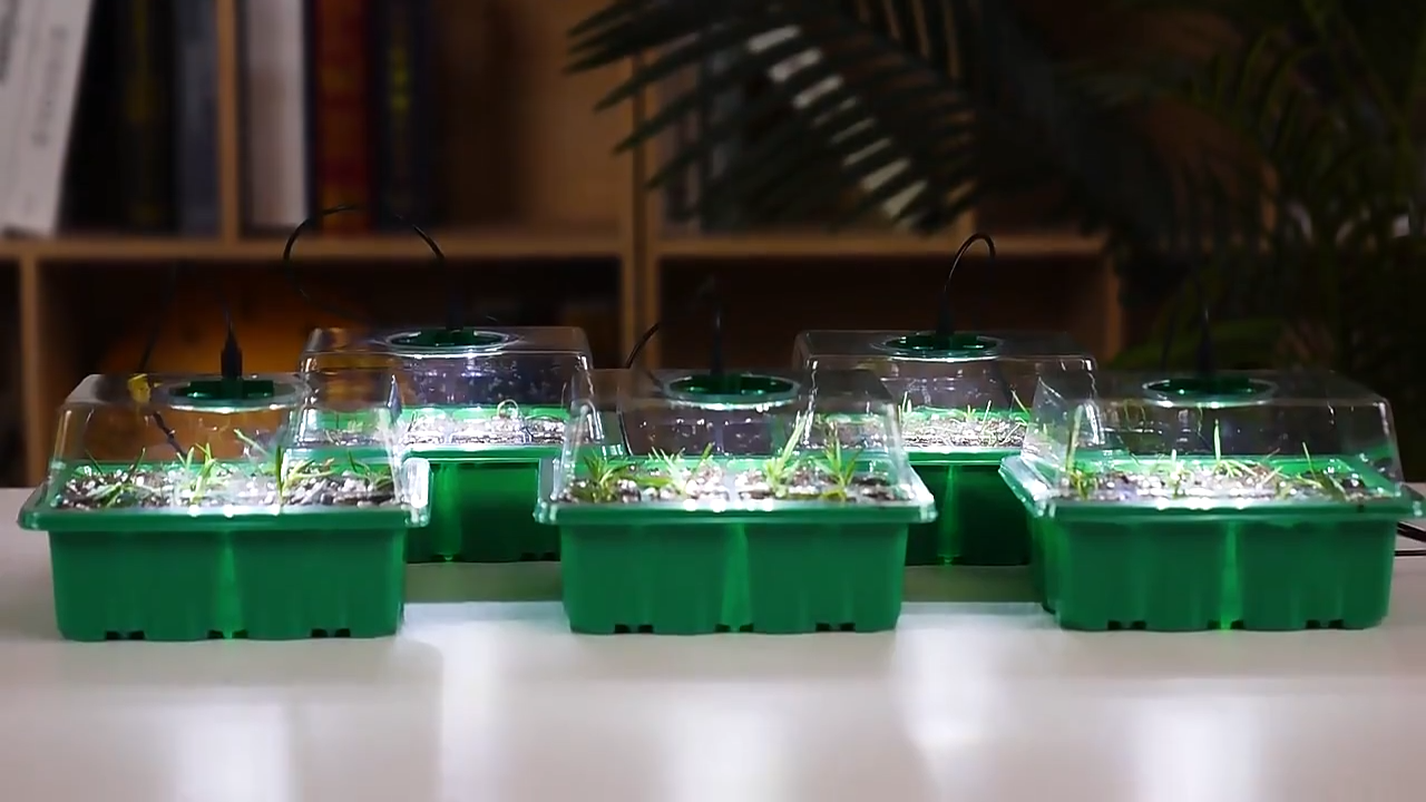 HemGrodd™ Inomhusväxthus med LED och luftcirkulation